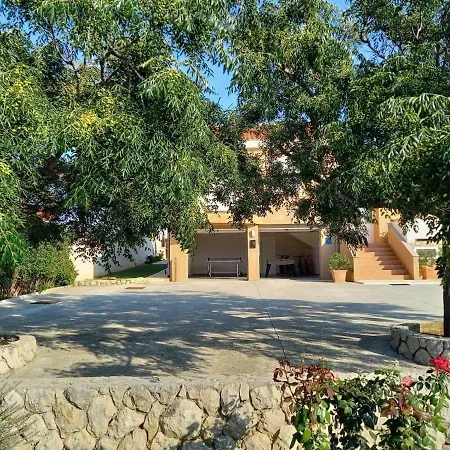 Maslina Villa Vrsi Exterior photo